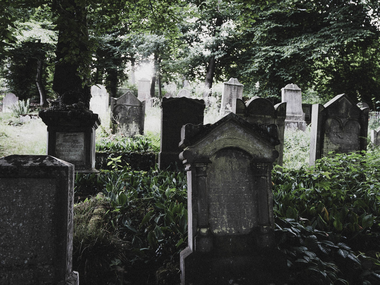 Bodenfeldem Jüdischer Friedhof